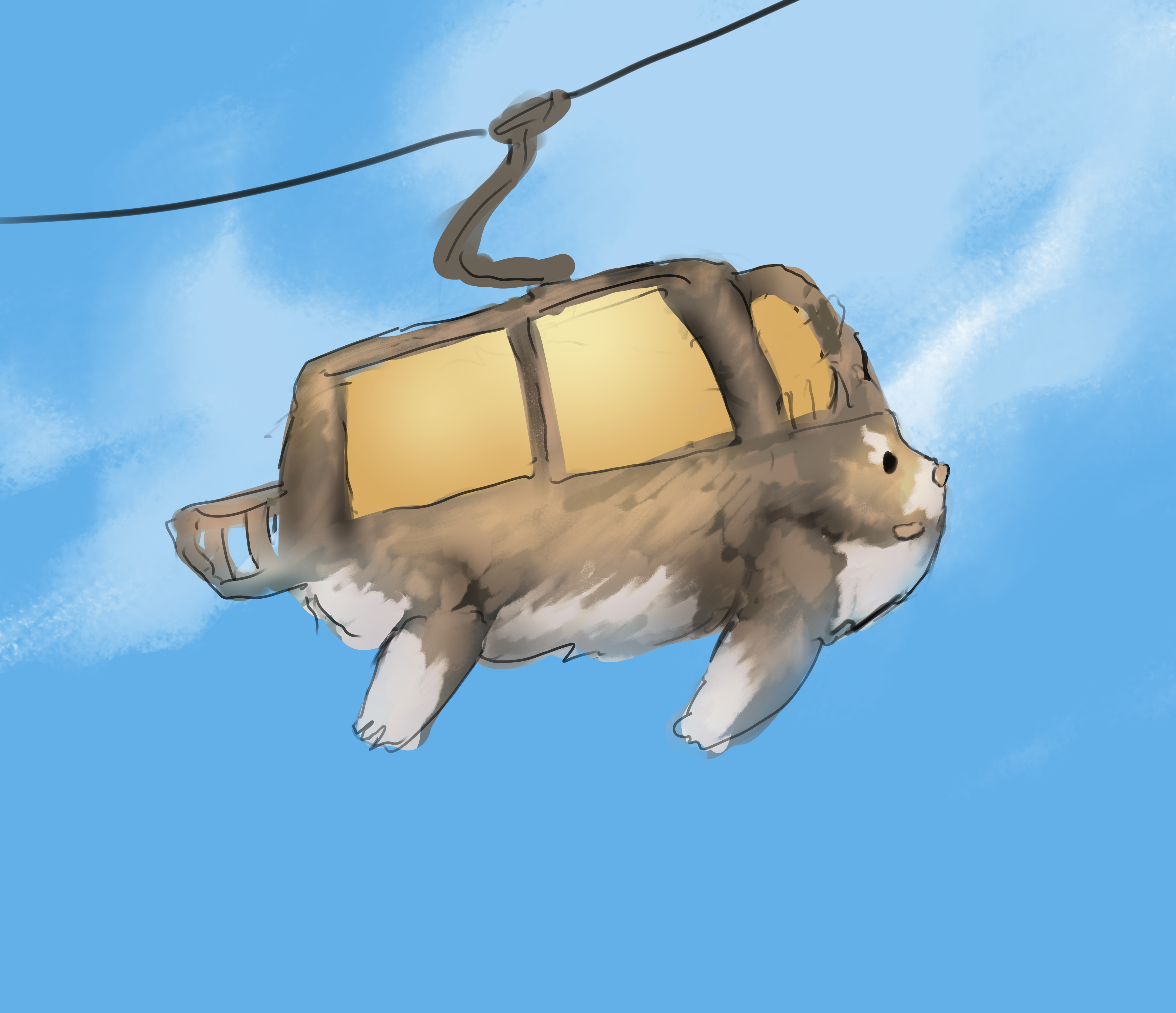 The gondola crossing the middle plain