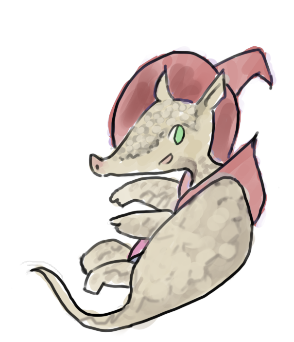 Tummillo the armadillo